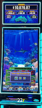 A Experiência Imersiva dos Cassinos Ao Vivo no 22r